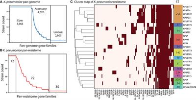 Comparative Genome-Scale Metabolic Modeling of Metallo-Beta-Lactamase–Producing Multidrug-Resistant Klebsiella pneumoniae Clinical Isolates